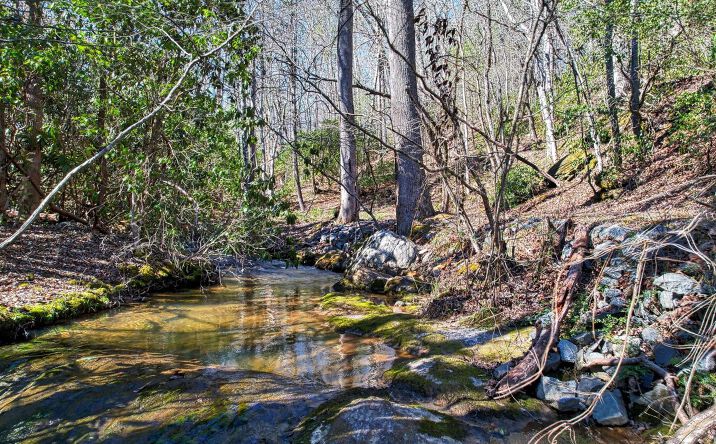 LOT10 Williams Branch Drive, Morganton