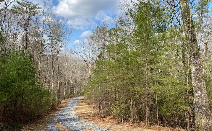 LOT3 Cohutta Overlook Iii, Blue Ridge
