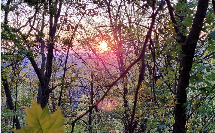 LOT52 Talona Mountain Road, Ellijay