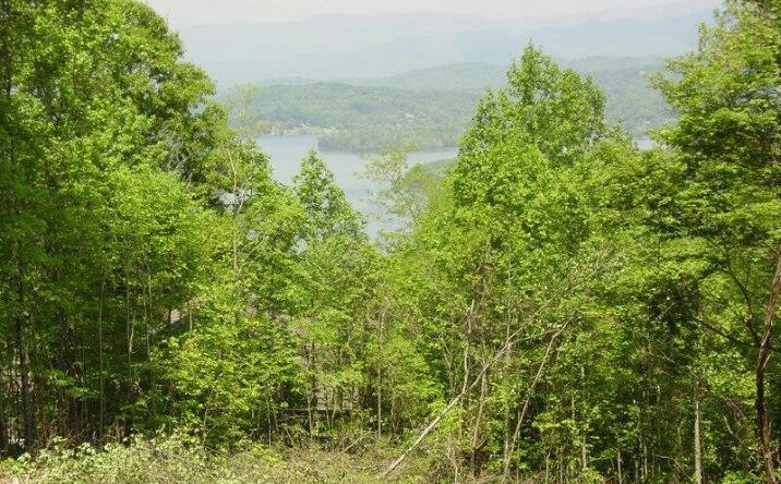 #19 Eagles View, Hayesville