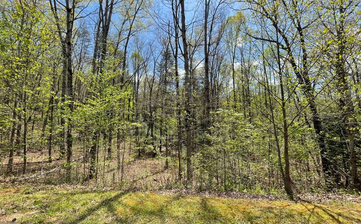 LOT 6 Sweetwater Cove Road, Hiawassee