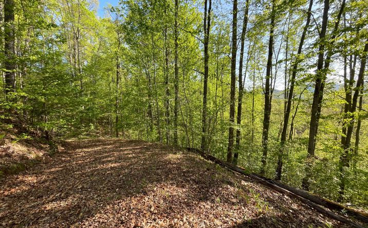 Lot 1C Lakewood Hills, Hayesville