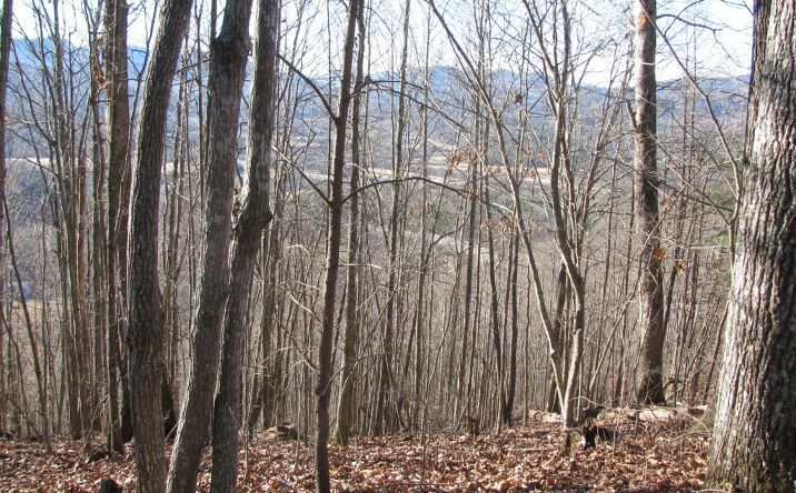 #8 Harris Ridge Road, Young Harris