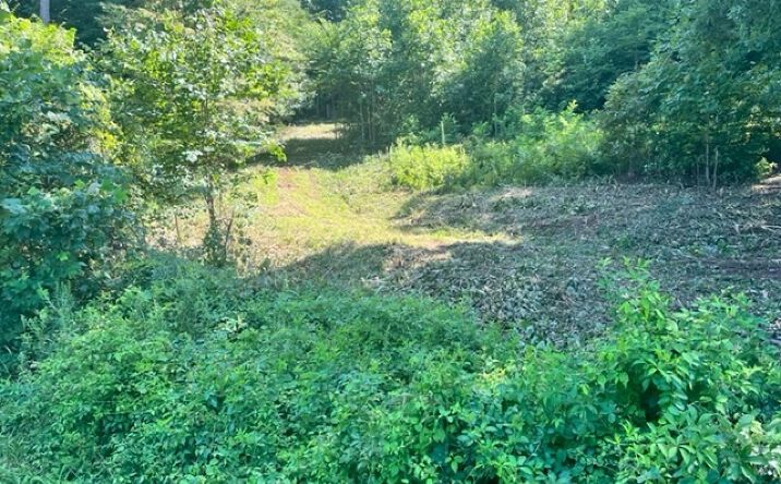2342 Highway 76, Hiawassee