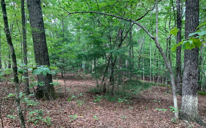 Lot 39 Timberlake Rd, Blue Ridge