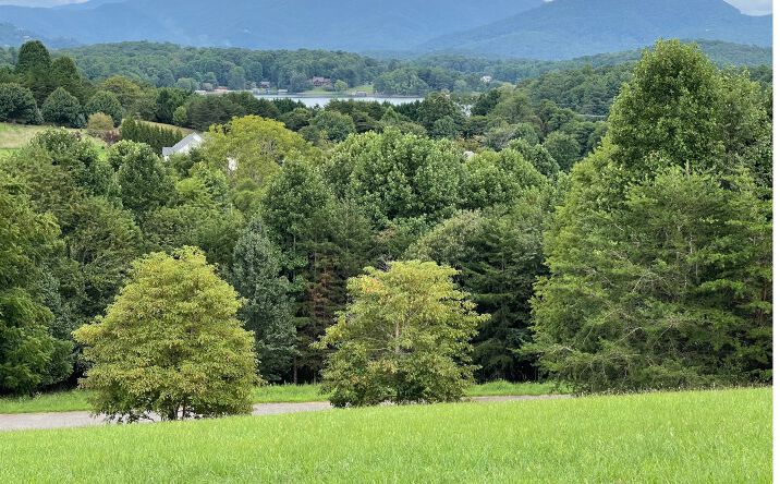 LOT19 High Meadows, Young Harris