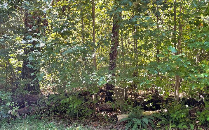 LT 45 Hidden River, Hayesville