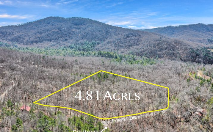42/43 Enchanting Forest, Morganton