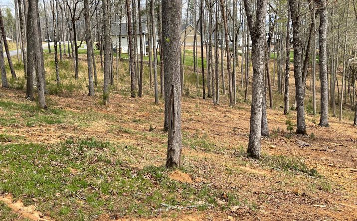 LT166 Highland Park, Blairsville