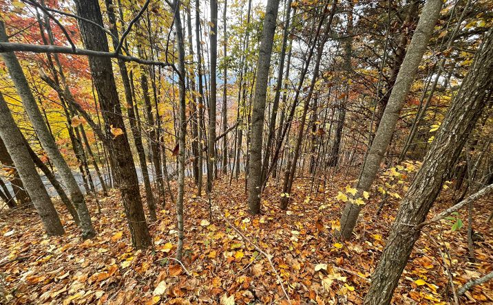 Lot 24B Grandview Drive, Hayesville