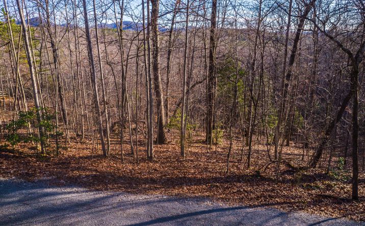 1.5 A Antioch Cemetary Road, Morganton