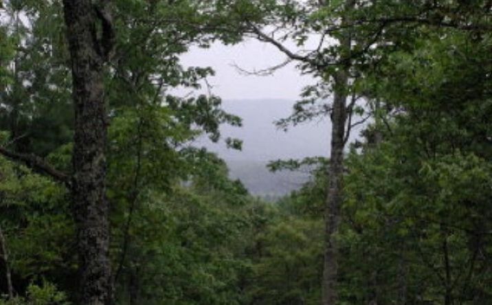 Pictures of Land property located at 19D&E Braves Landing, Murphy, NC 28906 for sales - image #1