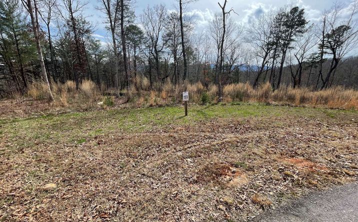 LT123 Highland Park, Blairsville