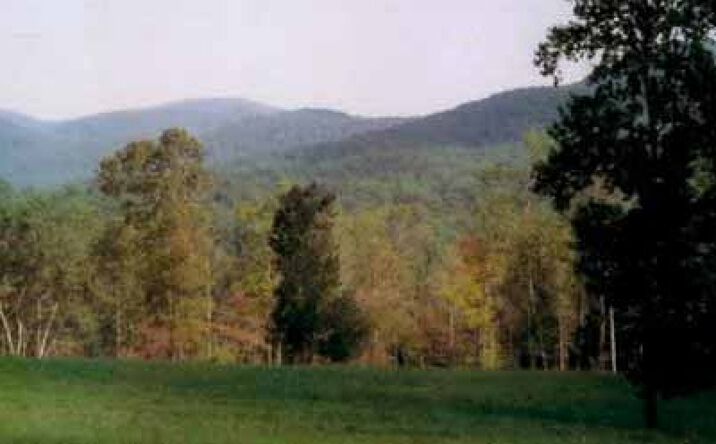 LT 35 Spring Camp Road, Ellijay