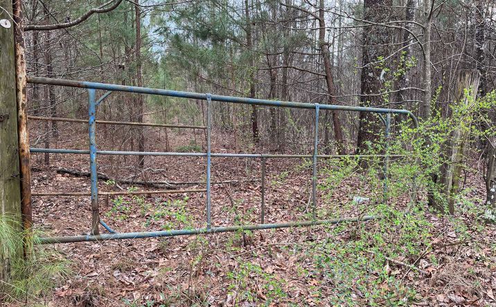 LT2&4 Fern Gully Way, Ellijay
