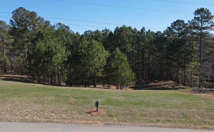 Pictures of Land property located at LT 38 Sanctuary Drive, Blairsville, GA 30512 for sales - image #1