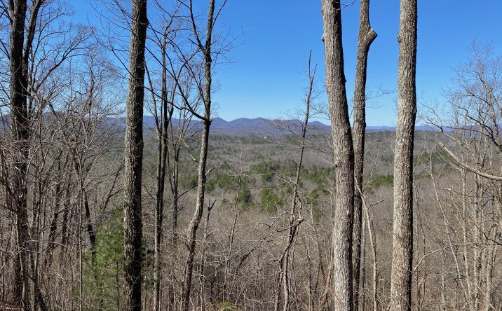 LOT32 Raven Ridge Circle, Mineral Bluff