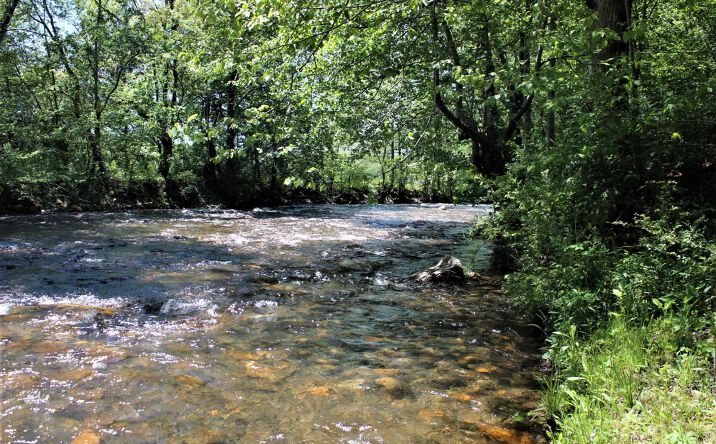 1, Hayesville