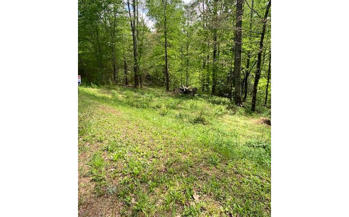 # 11 Slate Stone Drive, Hayesville