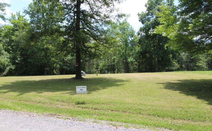 760 Holly Point Drive, Murphy
