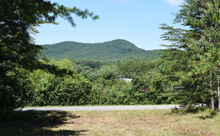 LT28 Nottely Dam Estates, Blairsville