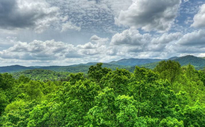 LT 18 Settlers Ridge Road, Ellijay