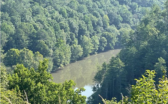 LOT91 Jakes Landing Drive, Ellijay