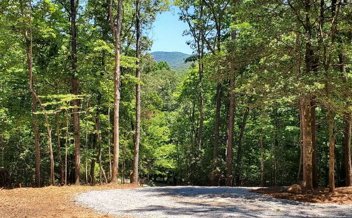 LT 29 Possum Poke Road, Ellijay