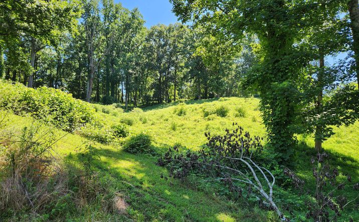 Foothills Drive, Blue Ridge