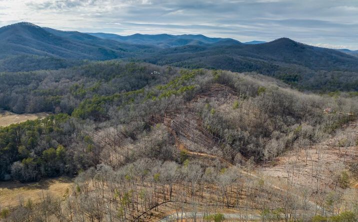 LT 14 Bearden Farm Overlook, Blue Ridge