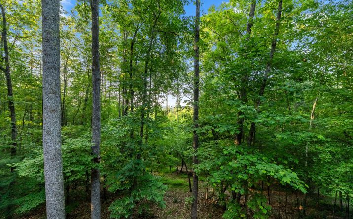LOT 1 Hemptown Overlook, Morganton