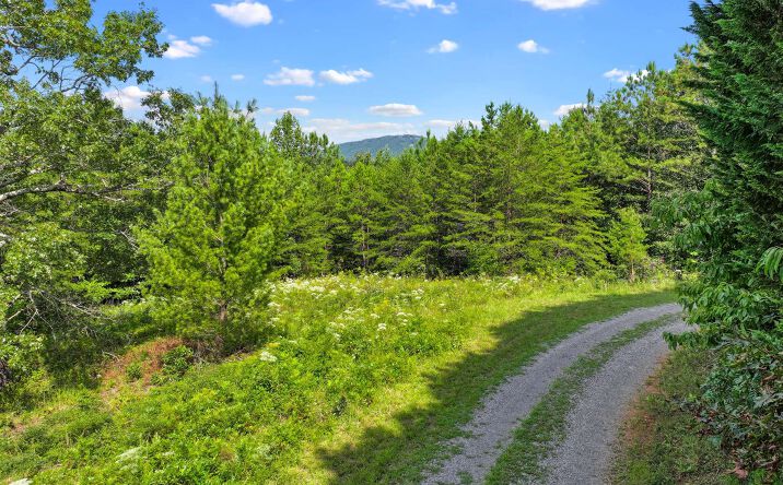 Pictures of Land property located at Lot 2 North View Drive, Mineral Bluff, GA 30559 for sales - image #1