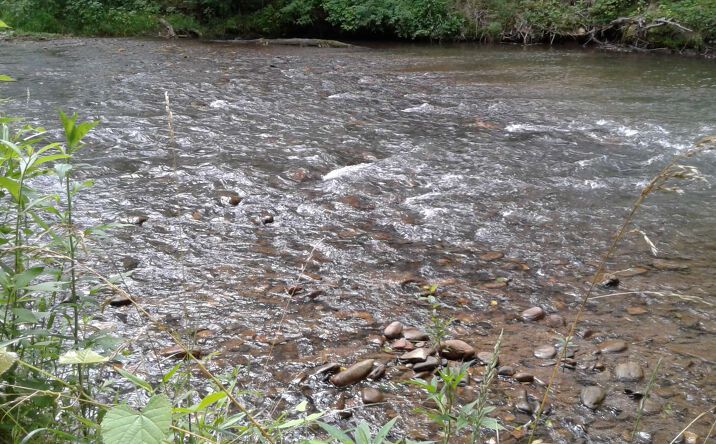 LT 10 Tranquility Lane, Hayesville