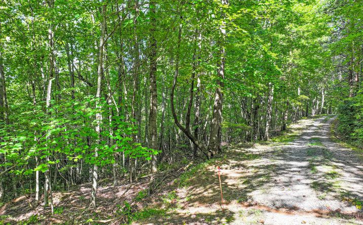 Pictures of Land property located at North View Trail, Mineral Bluff, GA 30559 for sales - image #1