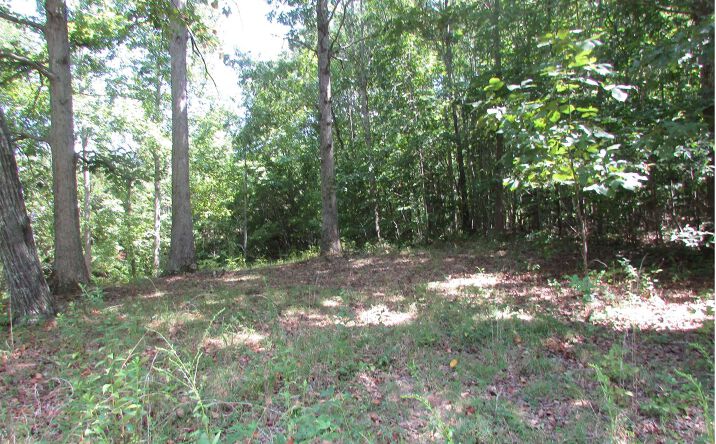 #4 Dewey Ridge Lane, Hayesville