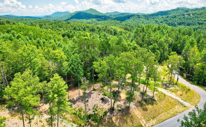 LOT 2 Laurels Of Blue Rdg, Mineral Bluff