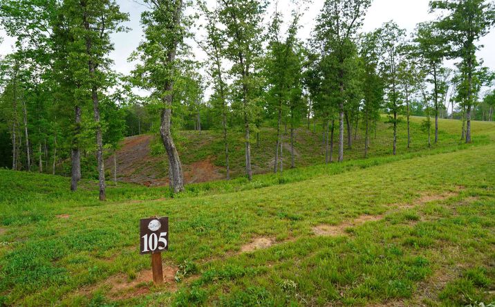 LT105 High River Crossing, Ellijay