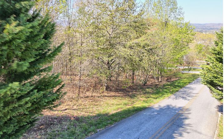 Summit Way Lot 109, Blairsville