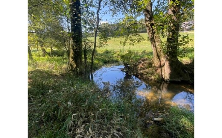 LOT 2 Clear Creek Preserve Way, Ellijay