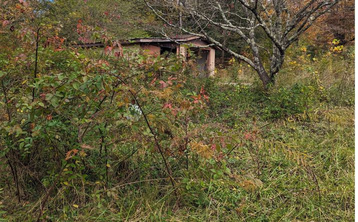 19 Wilson Street, Blue Ridge