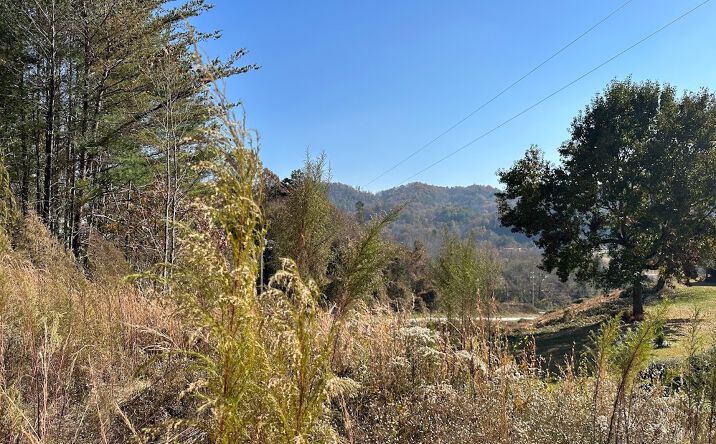 Natural Springs Drive, Murphy