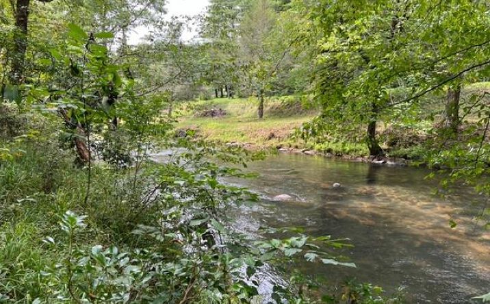 LOT 9 River Escape Drive, Cherry Log