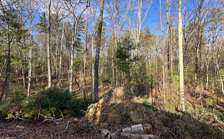 LT 1 Harrison & Ada Road, Blue Ridge
