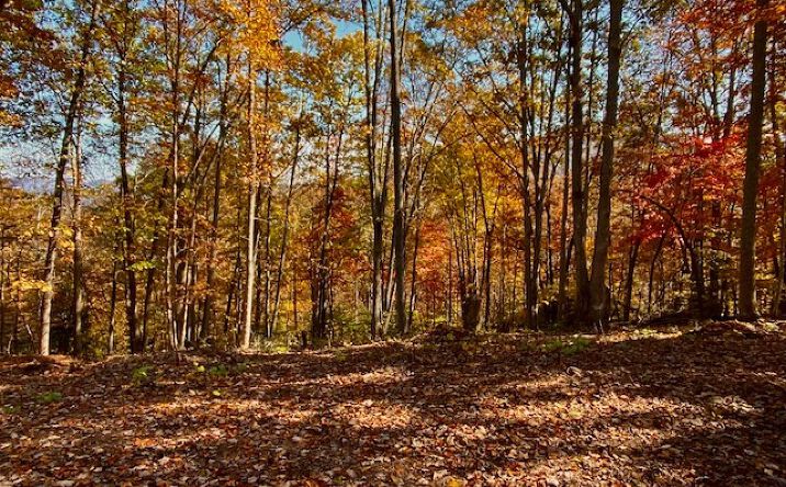 #113 Eagles View, Hayesville