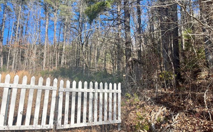 Lot 1&2 Mission Dam Road, Hayesville