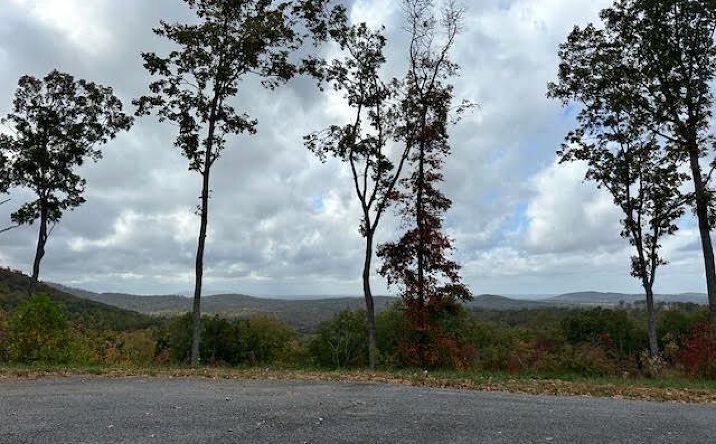 Lot 173 Shagbark Court, Ellijay