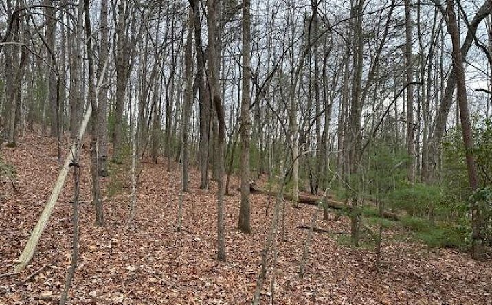 Lot 8 Marjorie Ave, Ellijay