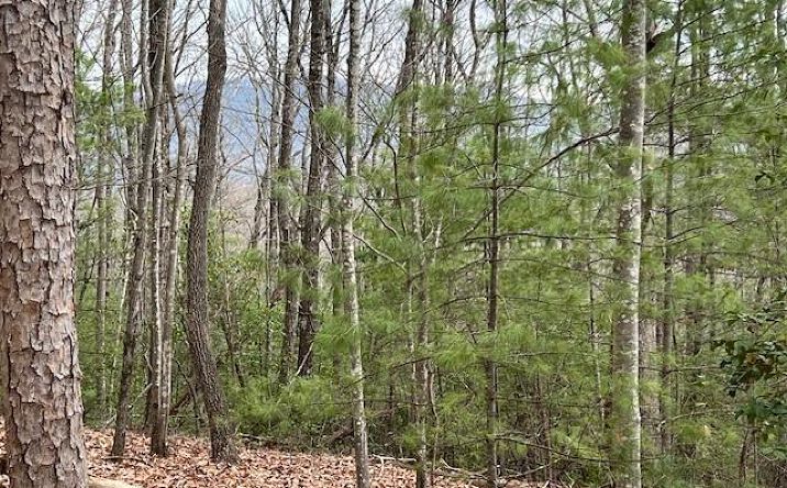 Lot 7 Marjorie Ave, Ellijay