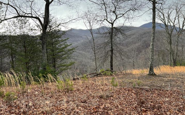 Lot 137 Shiloh, Hayesville