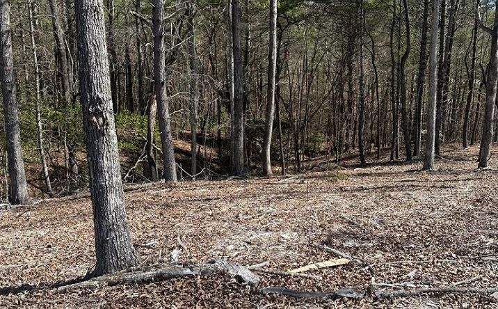 Pictures of Land property located at Lot 188 The Ridges, Morganton, GA 30560 for sales - image #1